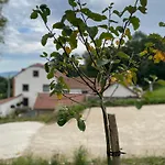 La Cour Tellier Gasthuis 3*